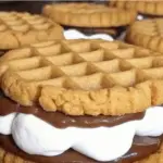 Peanut Butter S'mores Sandwich Cookies 3 Peanut Butter S'mores Sandwich Cookies